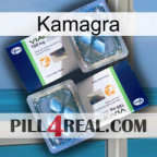 Kamagra viagra5